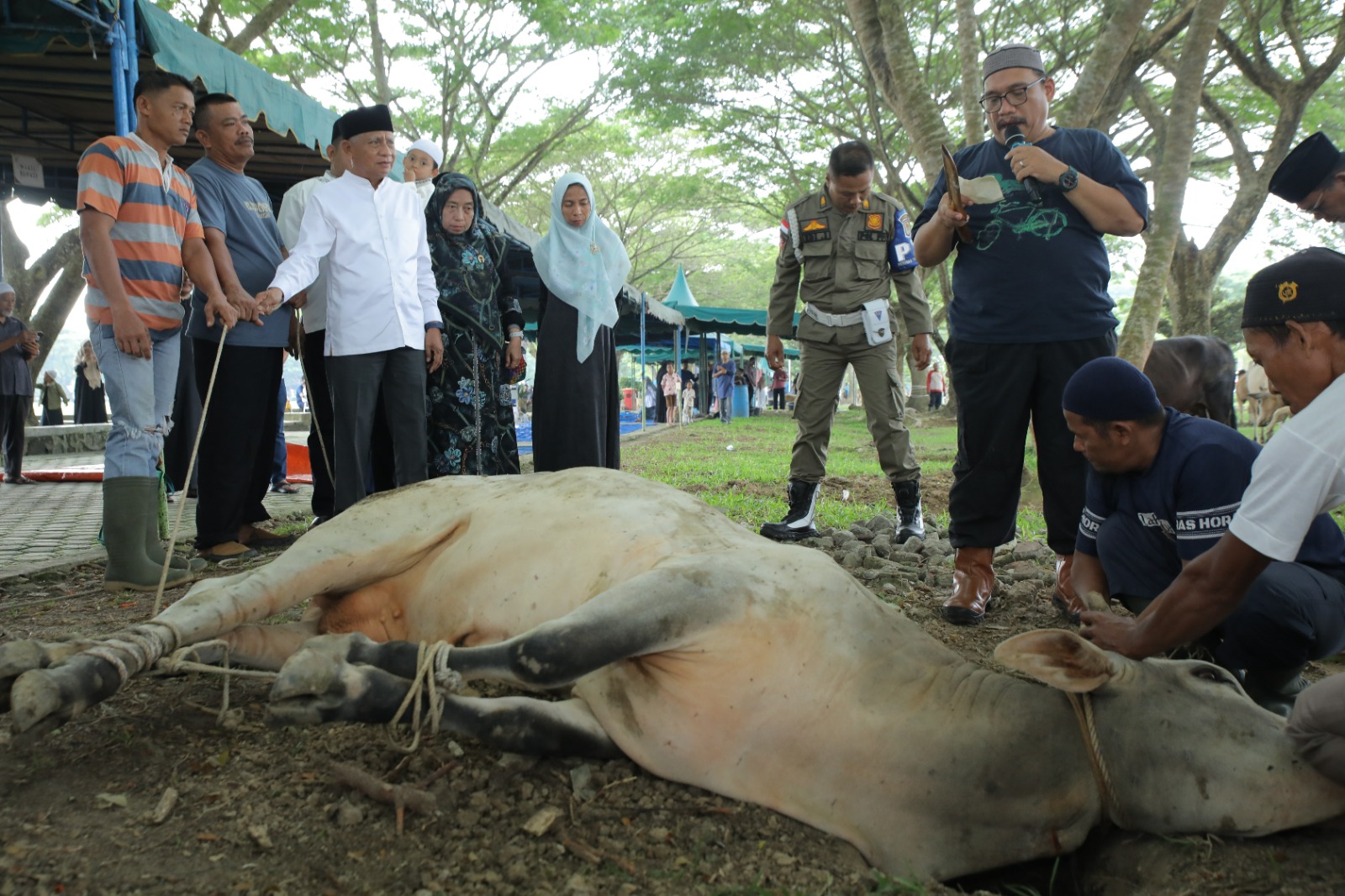 Pemerintah Kabupaten Asahan Sembelih Hewan Qurban Pada Hari Raya Idul